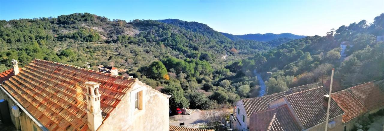 גובדארי Agriculture & Holiday House Lasko מראה חיצוני תמונה