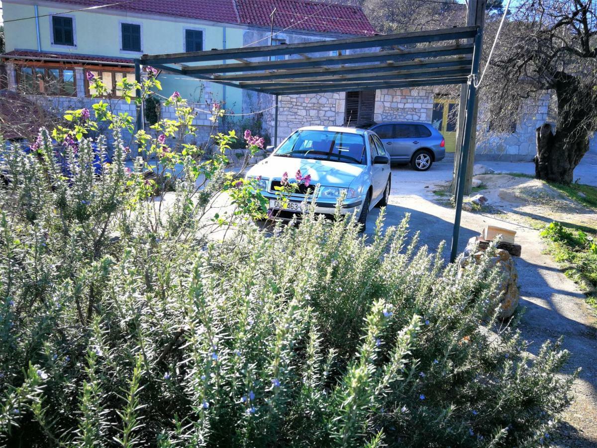 גובדארי Agriculture & Holiday House Lasko מראה חיצוני תמונה