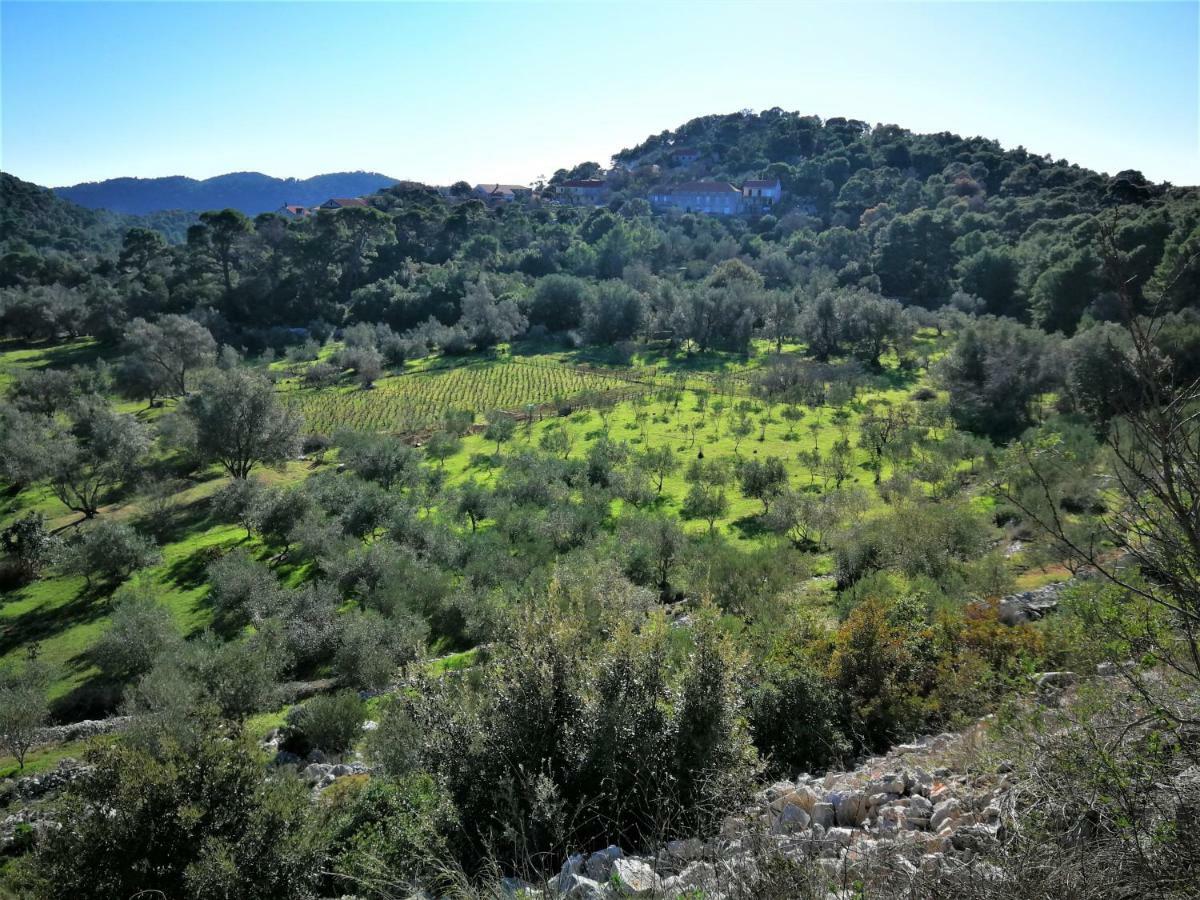 גובדארי Agriculture & Holiday House Lasko מראה חיצוני תמונה