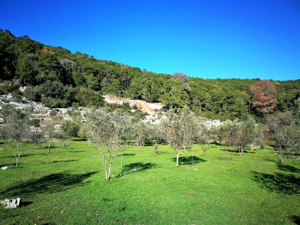 גובדארי Agriculture & Holiday House Lasko מראה חיצוני תמונה