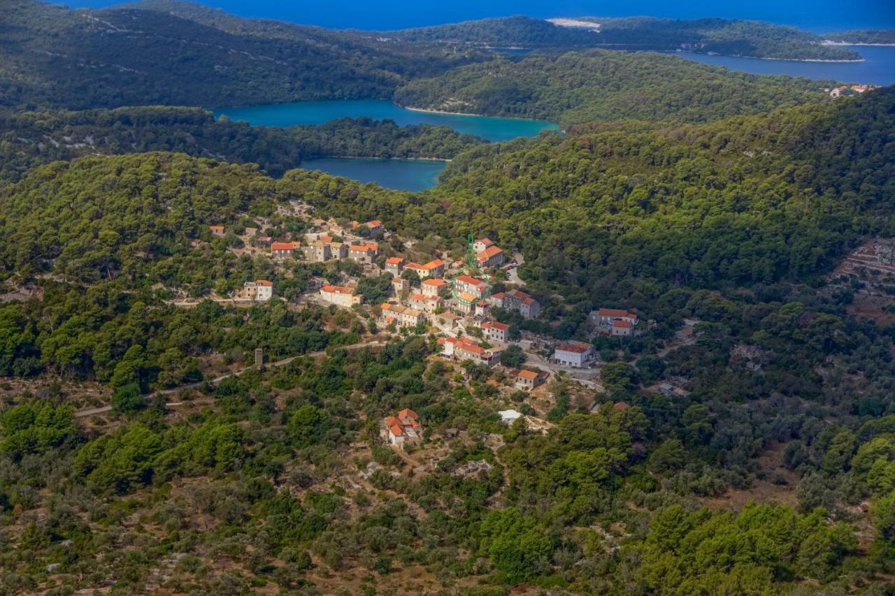 גובדארי Agriculture & Holiday House Lasko מראה חיצוני תמונה